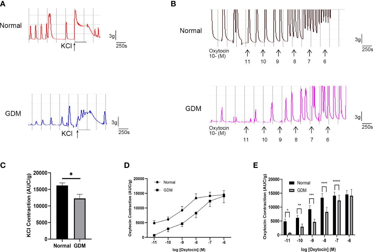 Frontiers High Glucose Induced Hif Trek Expression And Myometrium