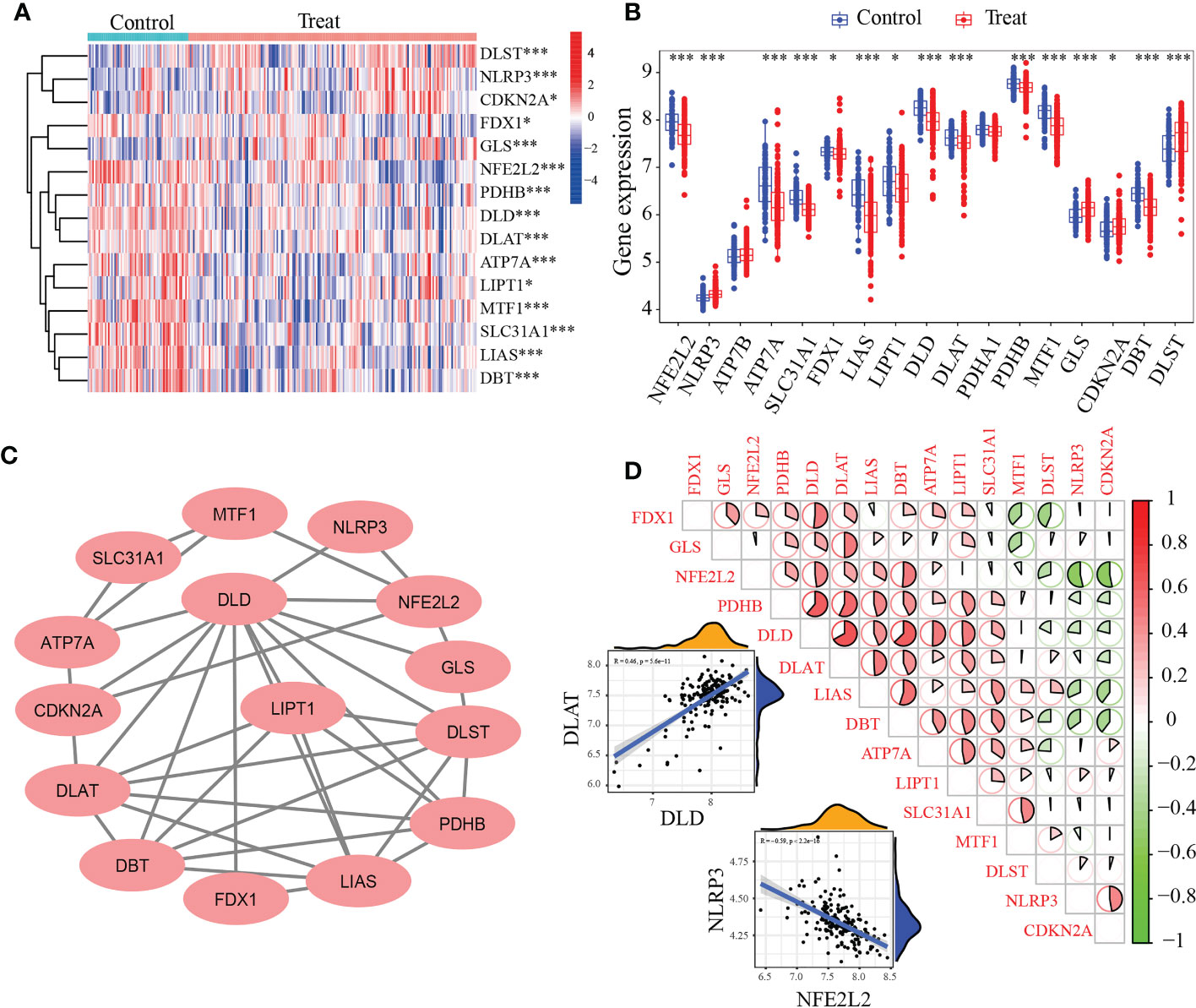 Frontiers Identification Of Hub Cuproptosis Related Genes And Immune