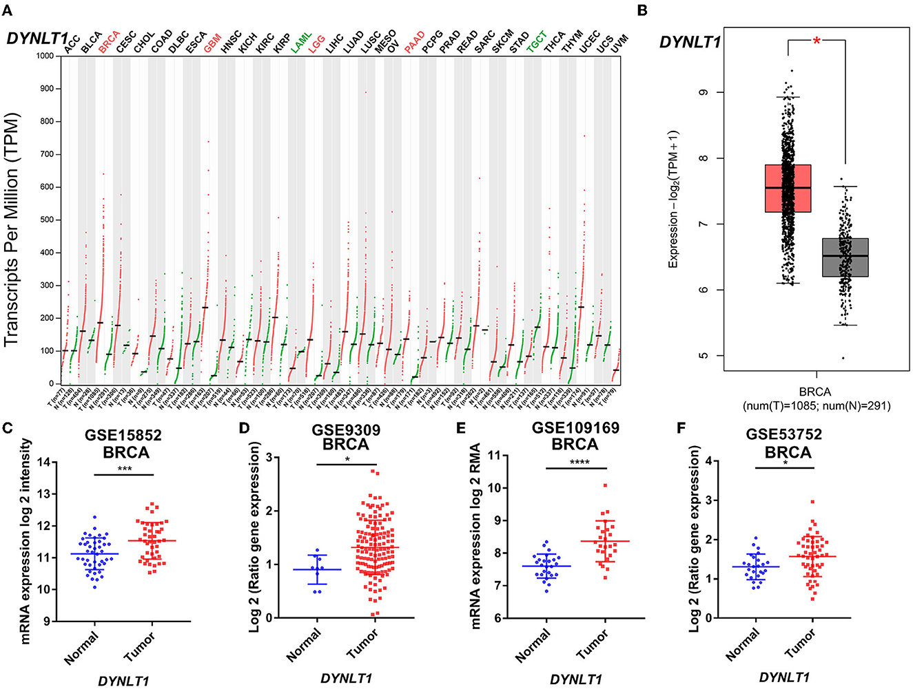 Frontiers Identification Of Dynlt Associated With Proliferation