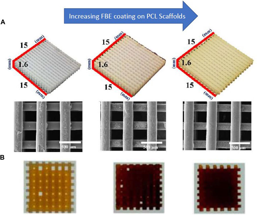 Frontiers Recent Advances On 3D Printed PCL Based Composite Scaffolds