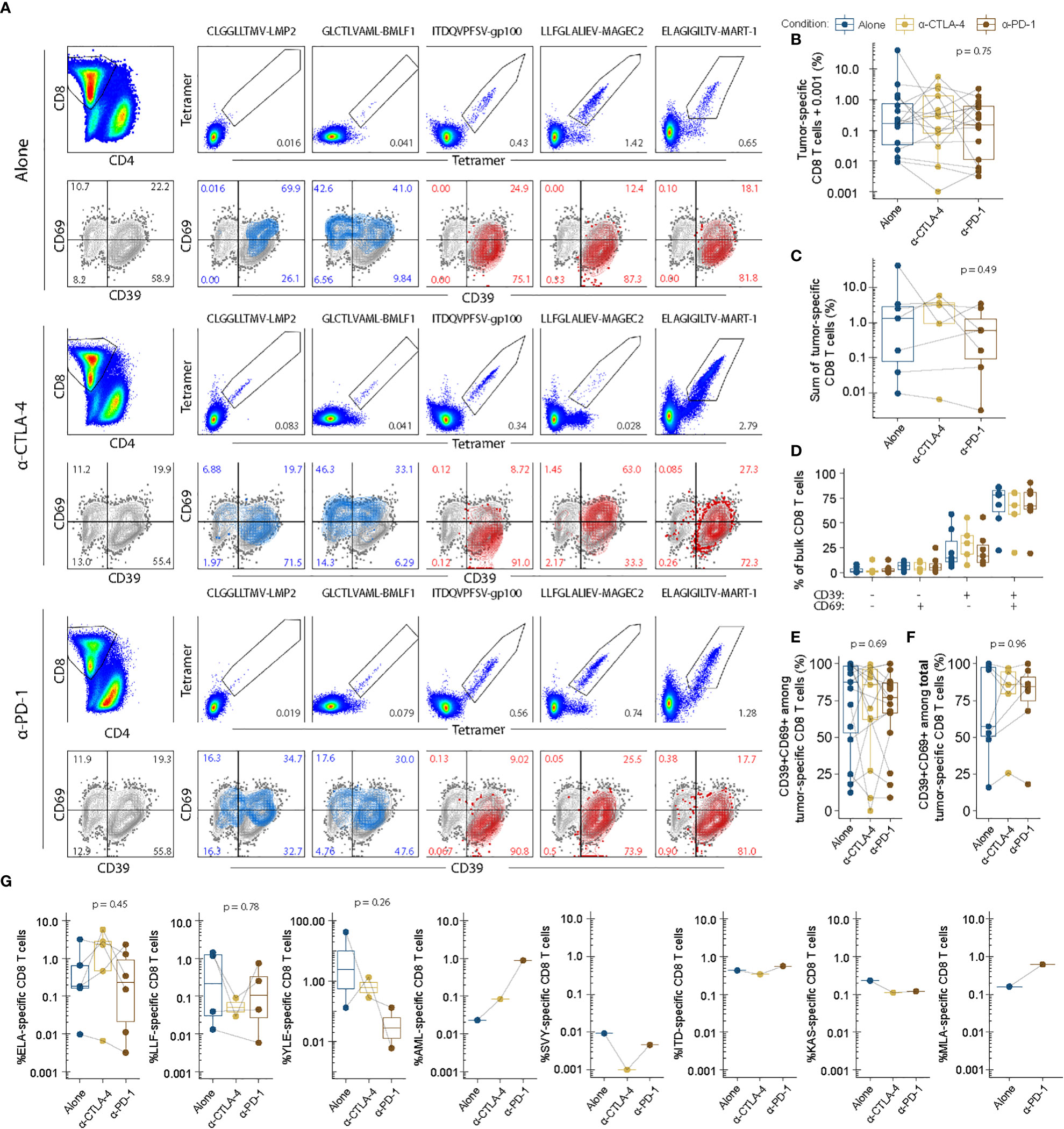 Frontiers Ex Vivo Modulation Of Intact Tumor Fragments With Anti PD 1