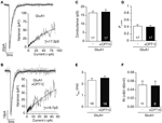 Frontiers Ampar Interacting Protein Cpt C Enhances Surface Expression