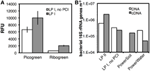 Frontiers A Modular Method For The Extraction Of Dna And Rna And The