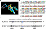 Frontiers | Chimeric DCL1-Partnering Proteins Provide Insights into the ...