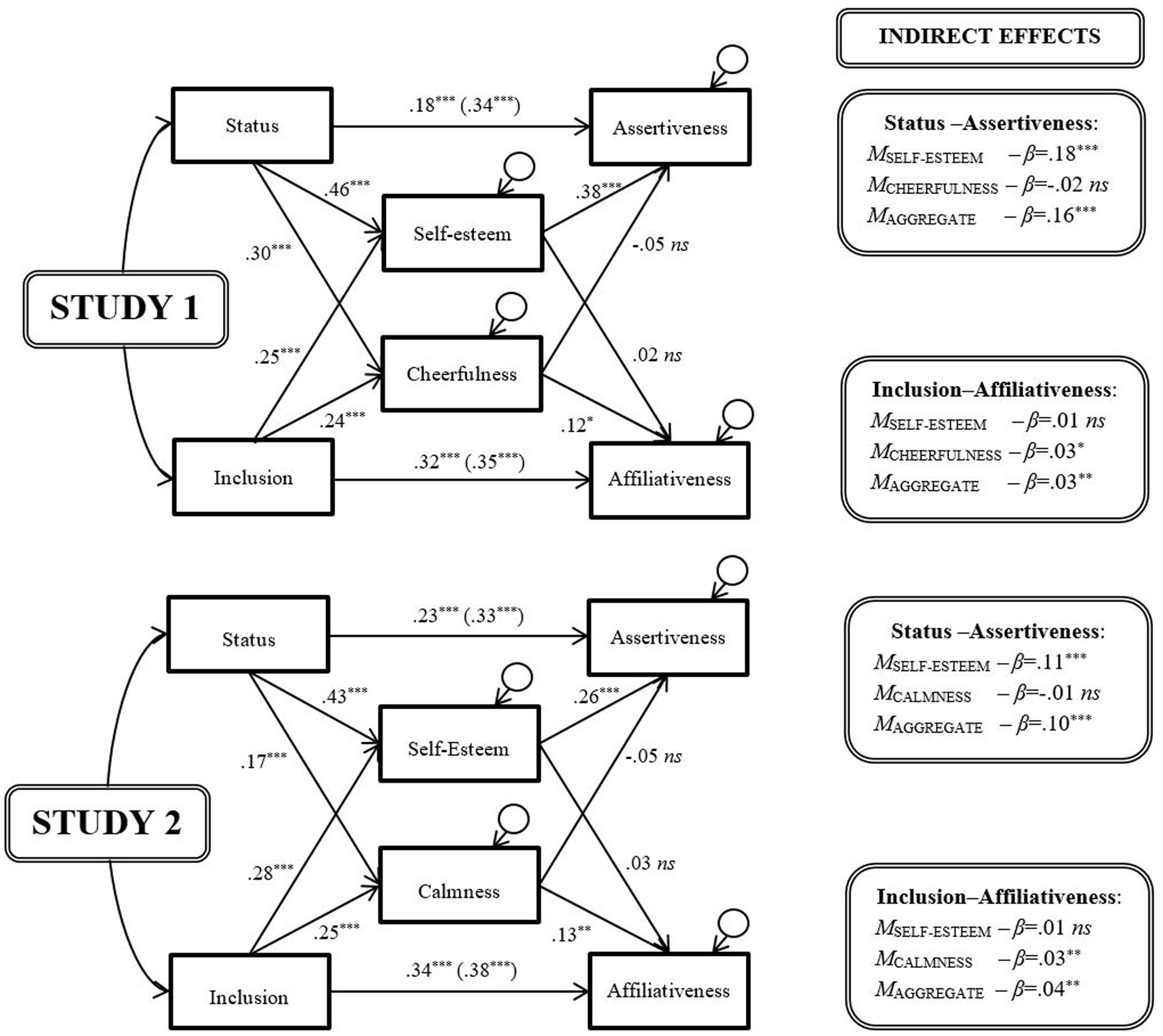 Sociometer Theory Of Self Esteem