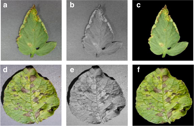 Frontiers | Using Deep Learning For Image-Based Plant Disease Detection ...