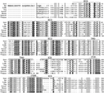 clc sequence viewer 7.6