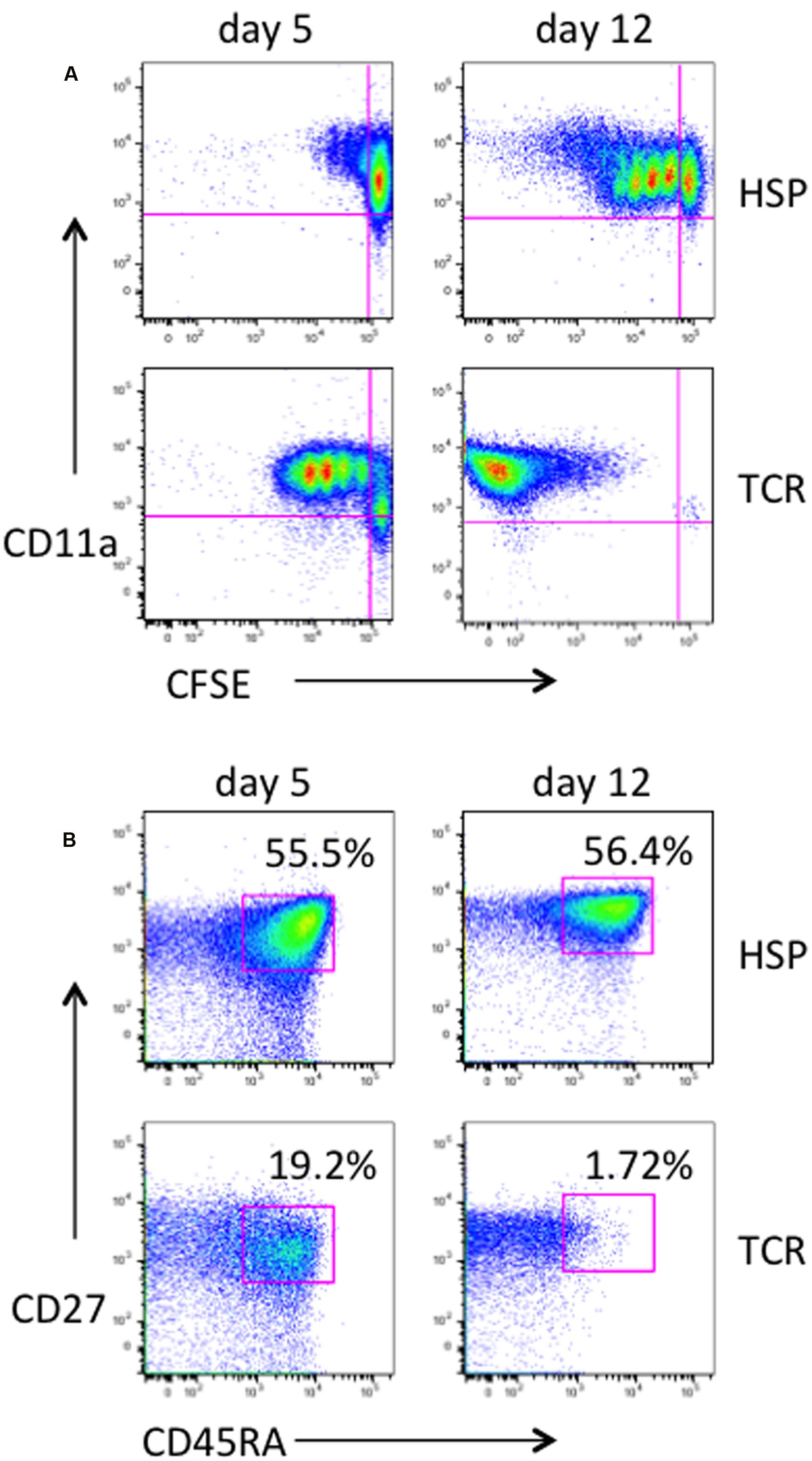 homeostatically maintained resting naive cd4  t cells resist