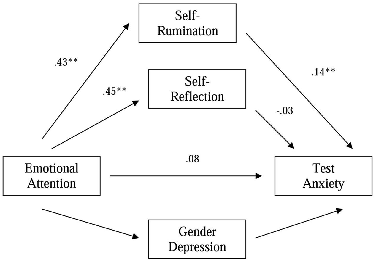 control self reflection