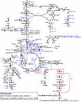 production in metabolically engineered corynebacterium