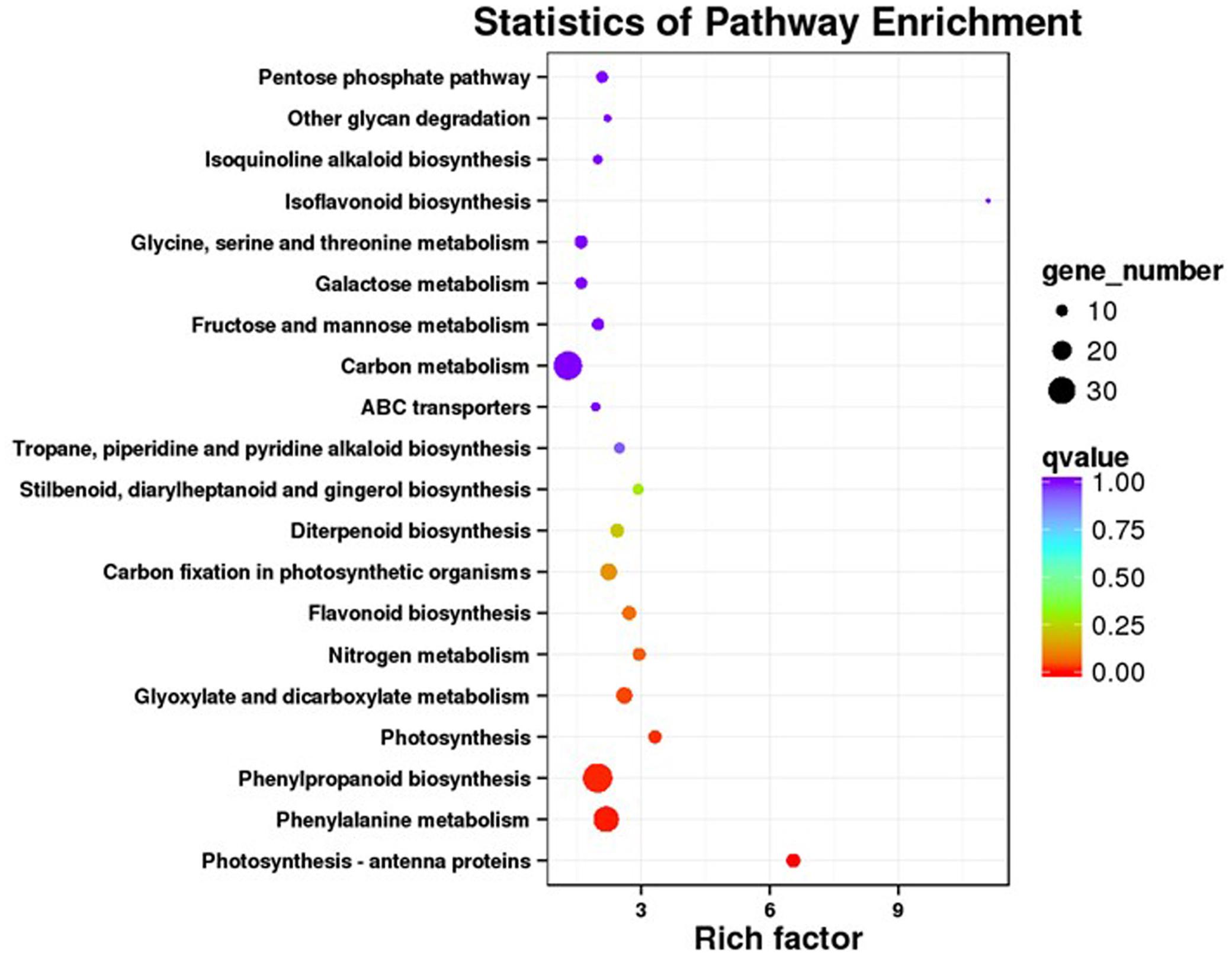 kegg pathway enrichment analysis of degs.