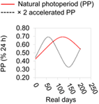 physical cues controlling seasonal immune allocation in a