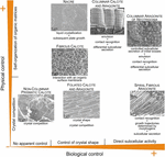 physical and biological determinants of the fabricat