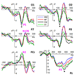 Frontiers Gender Differences In Processing Fearful And Angry Body