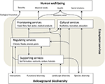 belowground biodiversity relates positively to ecosystem