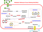 immunogenicity of tumor initiating stem cells: potential