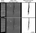 the sealing mechanisms of a fracture in opalinus clay as