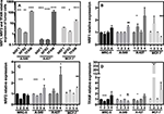 lactic acidosis promotes mitochondrial biogenesis in lung