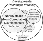 phenotypic switching resulting from developmental plasticity