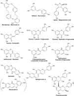 Frontiers The Evolution Of Flavonoid Biosynthesis A Bryophyte