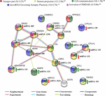 dendritic spine and synaptic plasticity in alzheimer"s disease