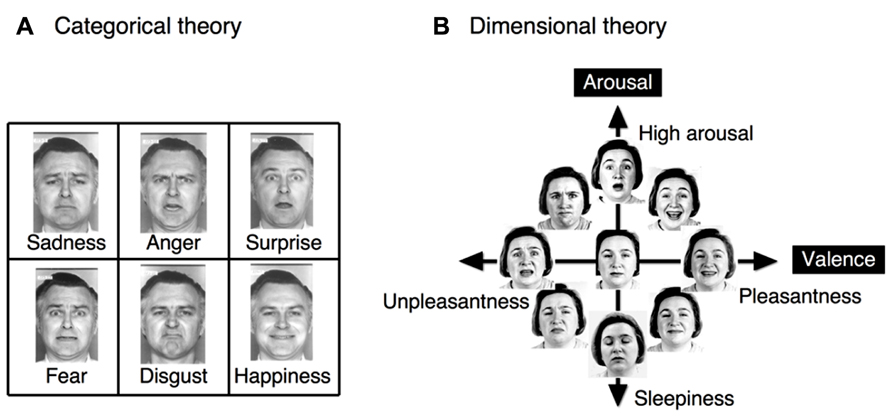 the existence of six basic, distinct and universal emotions