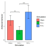 effect of modulating dlpfc activity on antisocial and prosocial