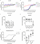 Frontiers Acellular Pertussis Vaccines Induce Anti Pertactin