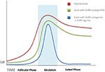 luteal phase in assisted reproductive technology