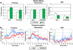 interval timing in odor fear conditioning in rats