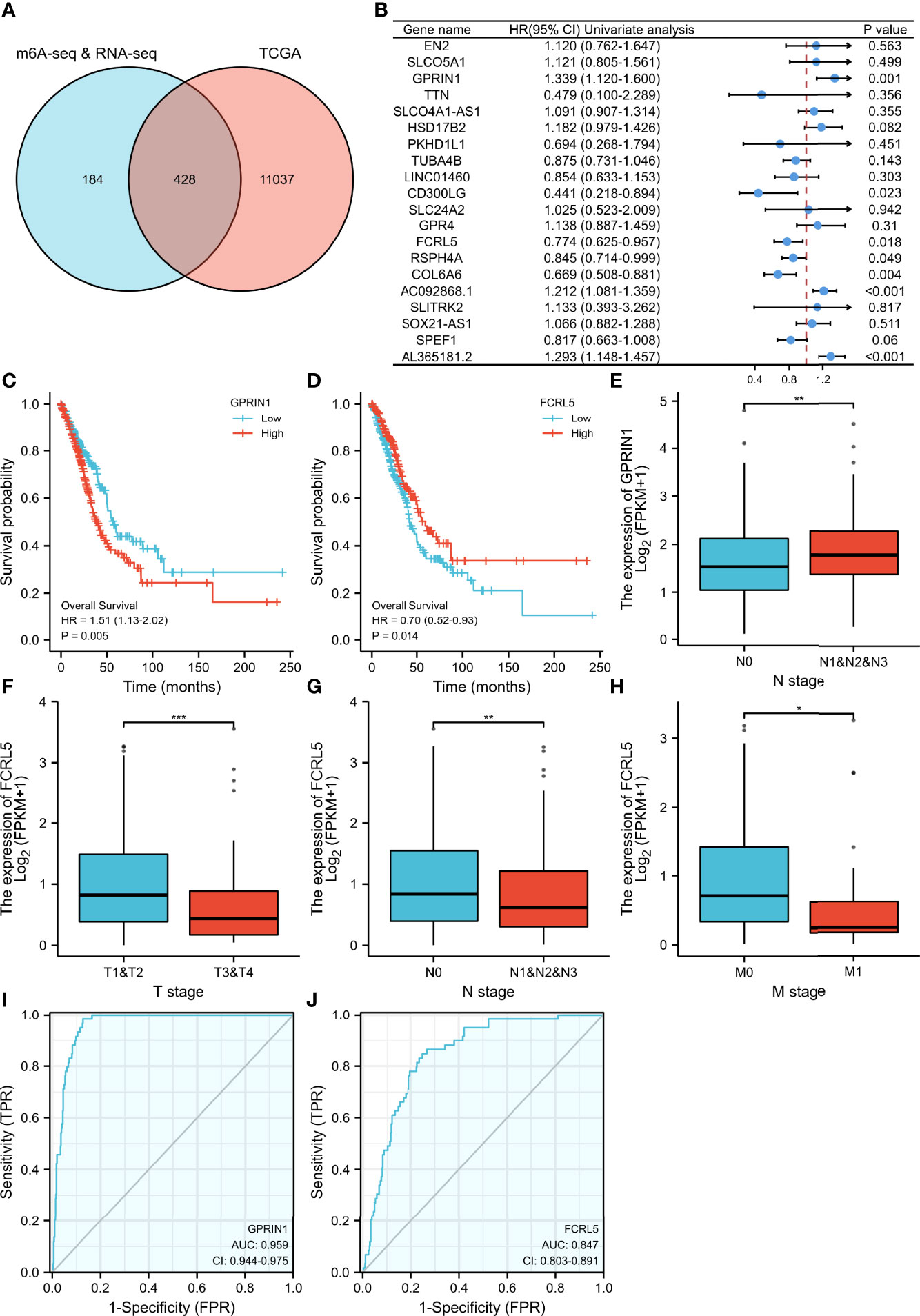 Frontiers Comprehensive Analysis Of The Transcriptome Wide M6A