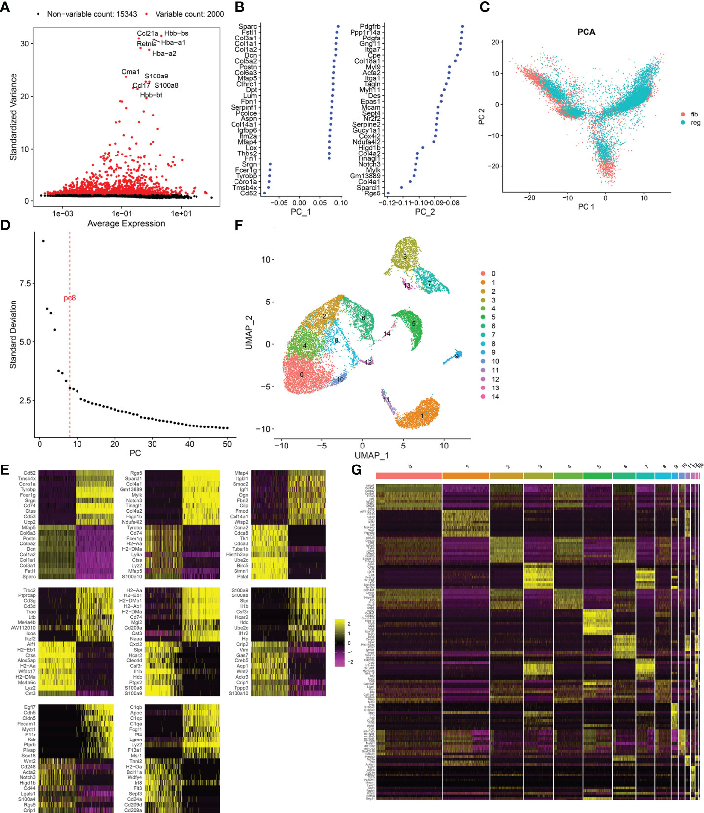 Frontiers Single Cell Rna Seq Analysis Reveals Cellular Functional