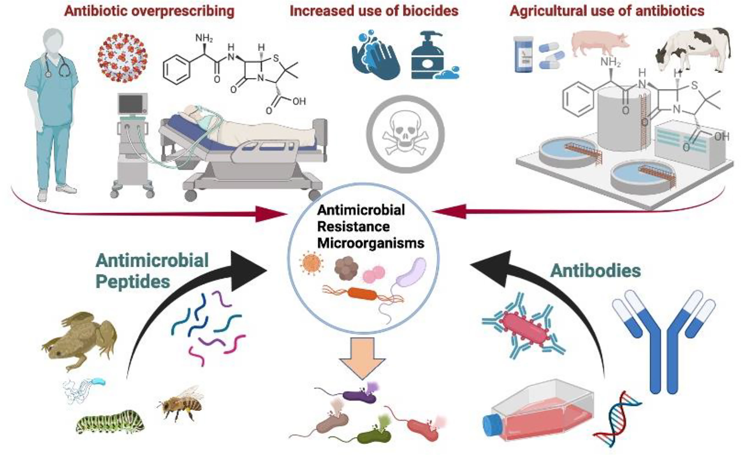 Frontiers Antimicrobial Resistance In The Covid Landscape Is