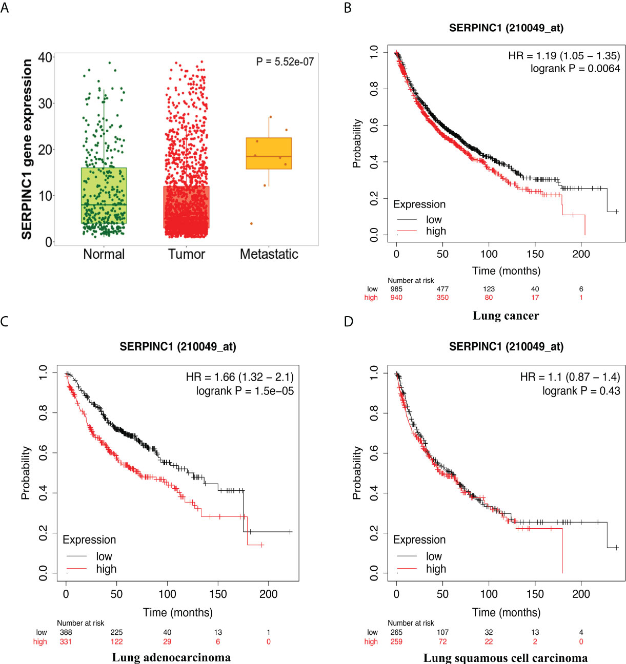 Frontiers Synergistic Effects Of Nab Ptx And Anti Pd Antibody