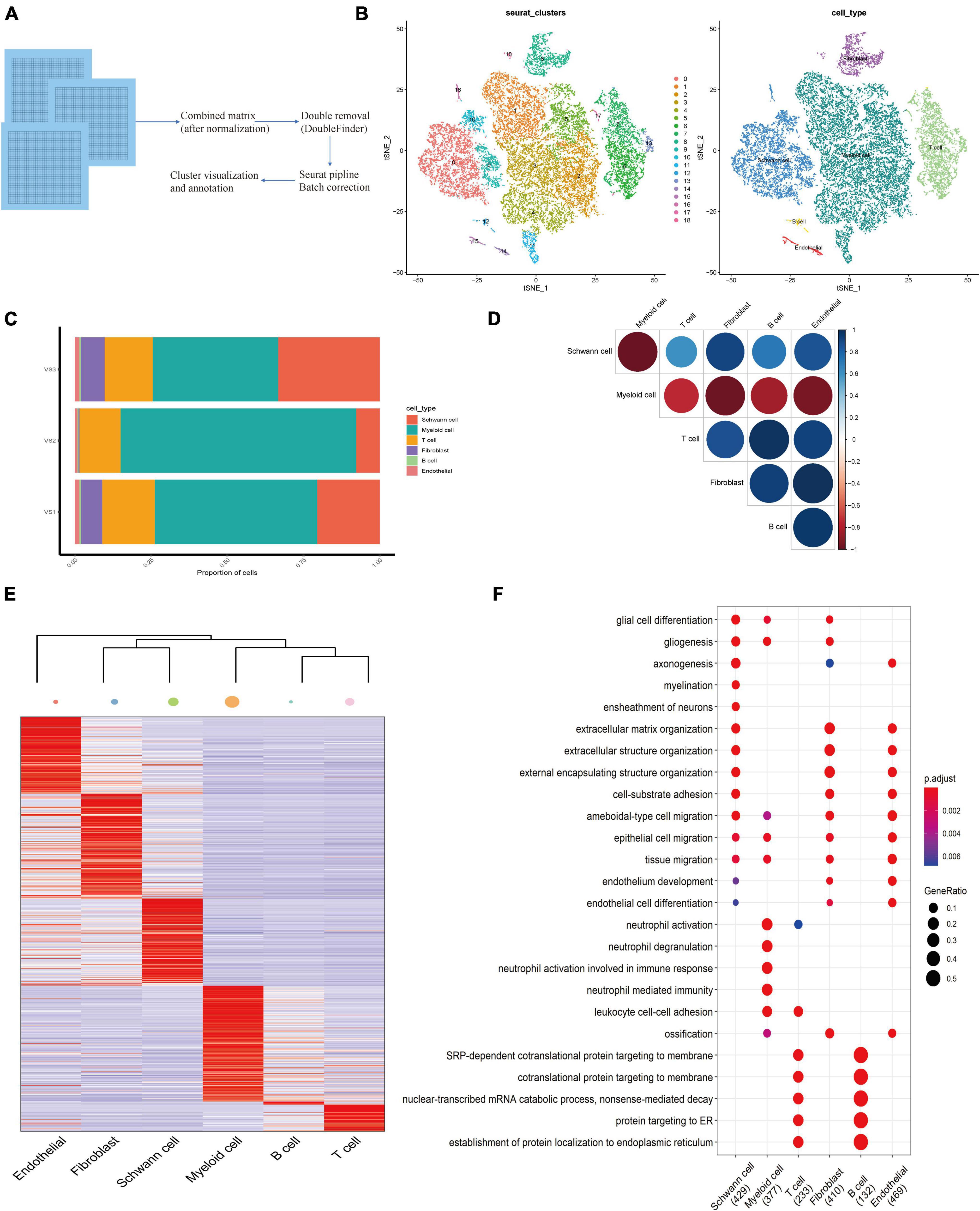 Frontiers Single Cell Sequencing Reveals The Cell Map And