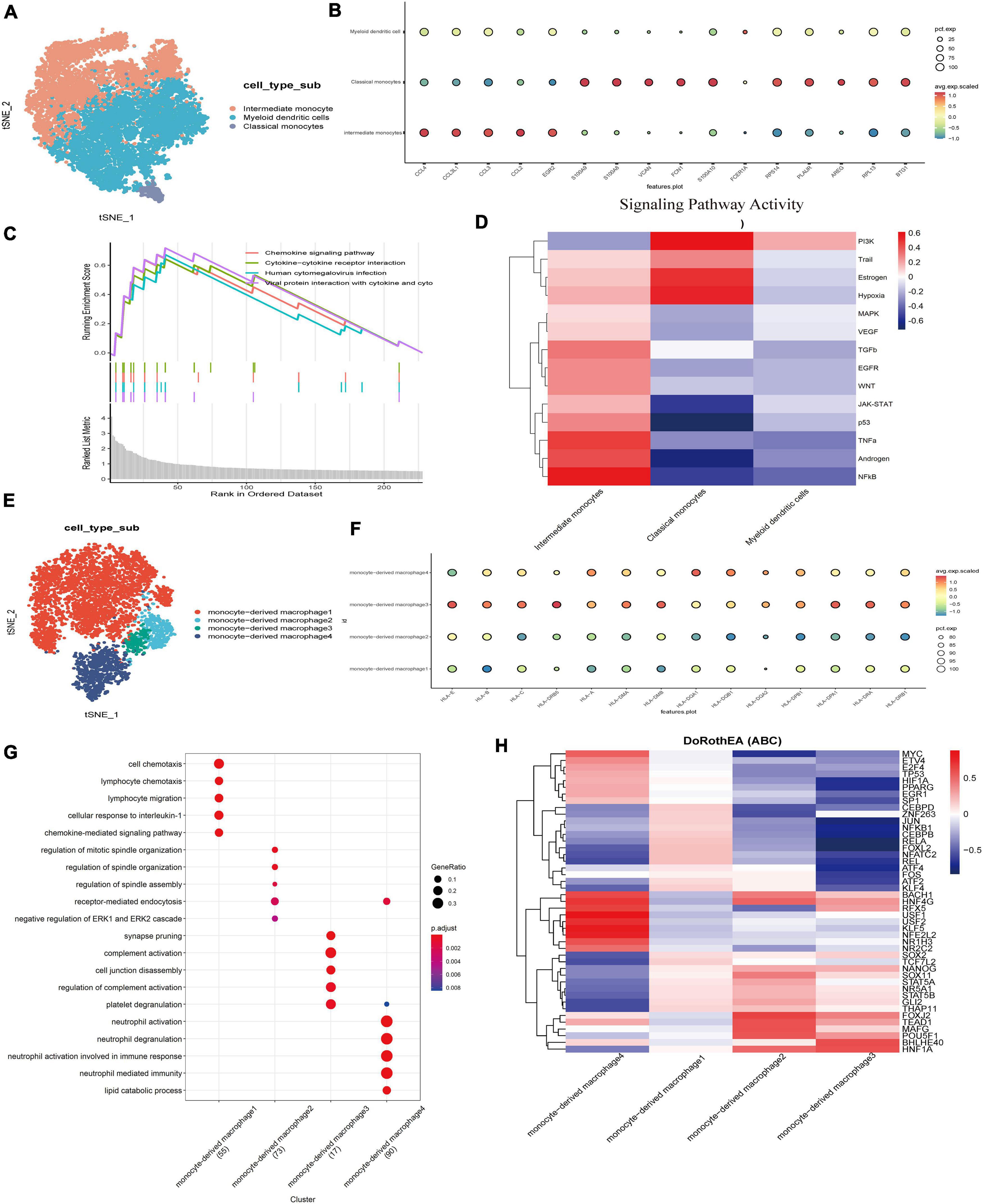 Frontiers Single Cell Sequencing Reveals The Cell Map And