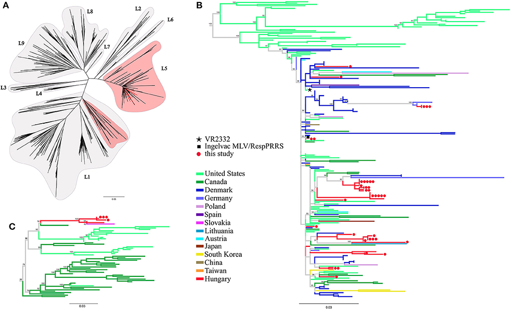 Frontiers Genetic Diversity Of Imported PRRSV 2 Strains 20052020