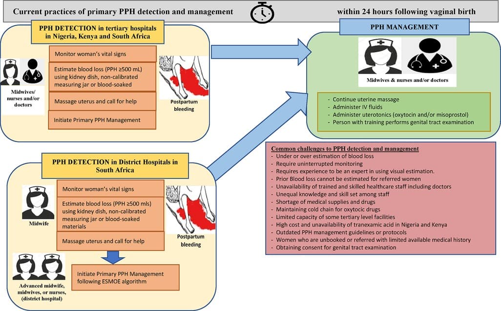 Frontiers  Detection and management of postpartum haemorrhage: Qualitative  evidence on healthcare providers' knowledge and practices in Kenya,  Nigeria, and South Africa