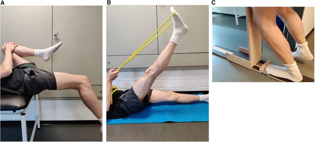 Effects of daily static stretch training over 6 weeks on maximal strength,  muscle thickness, contraction properties, and flexibility - Frontiers