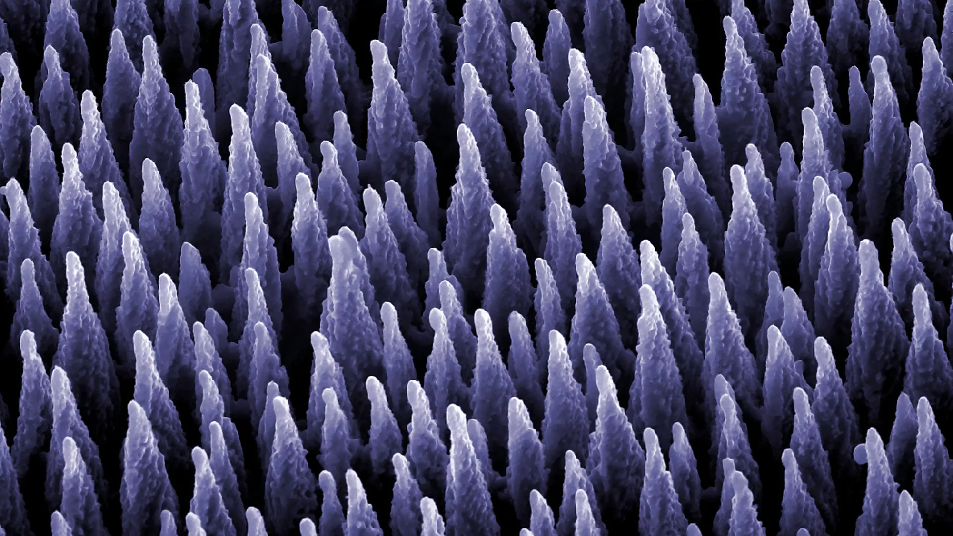 Cover image for "Deep Learning in Computational Materials Science"