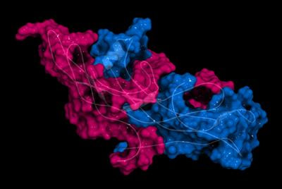 Cover image for research topic "Latest Advances in Glycoengineering"