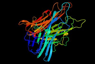 Cover image for research topic "The Tumor Necrosis Factor Superfamily: an Increasing Role in Breast Cancer"