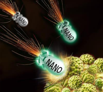 Cover image for research topic "Target-Triggered Nanoparticles for Tumor Diagnosis and Therapy"