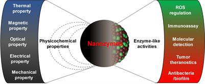 Cover image for research topic "Nanozymes: From Rational Design to Biomedical Applications"