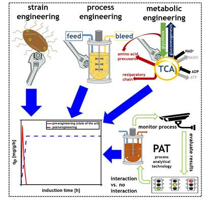 Cover image for research topic "Continuous Biomanufacturing in Microbial Systems"