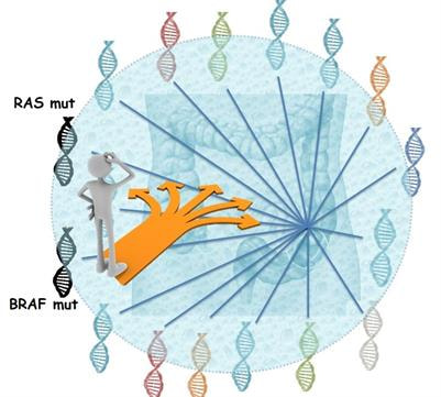 Cover image for research topic "The Treatment of RAS or BRAF Mutated Metastatic Colorectal Cancer: Challenges and Perspectives"