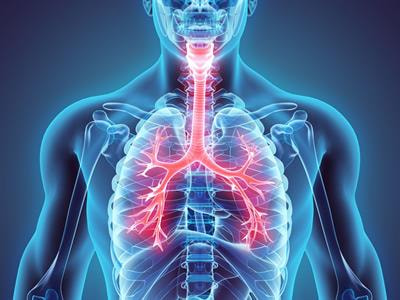 Cover image for research topic "Impact of System Biology and Molecular Medicine on the Management of Complex Immune Mediated Respiratory Diseases"