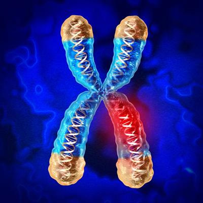 Cover image for research topic "Copy Number Variation in Rare Disorders"