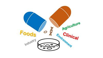 Cover image for research topic "Antimicrobial Resistance Along the Food Chain: Are We What We Eat?"