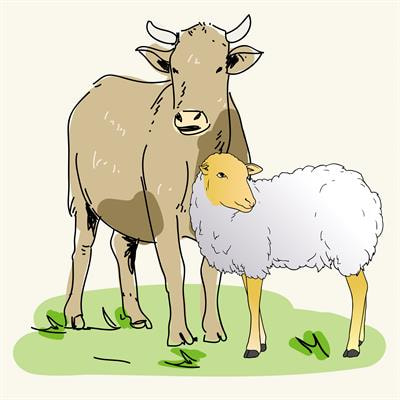 Cover image for research topic "New Generation Vaccines against Viral Diseases of Ruminants: Lessons and Challenges"